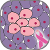 Breast_Cancer_Biology